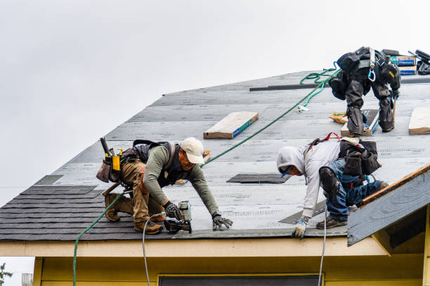 Professional Gutter Installation technician working in Williamsburg, VA
